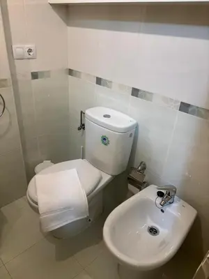 a white bathroom with a toilet and a sink at Alojamiento Morriña in O Pedrouzo
