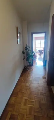 a hallway with a potted plant on a wooden floor at Rosalia Rooms in A Estrada
