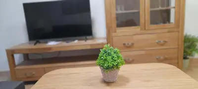 a potted plant sitting on a table in front of a television at EnFOZ Playa A Rapadoira in Foz