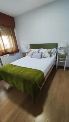 a bedroom with a large bed with a green blanket at Apartamento Rio Sar garaje incluido in Santiago de Compostela