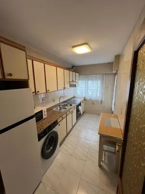 a kitchen with a washer and a sink and a dishwasher at Miño Center Home in Miño