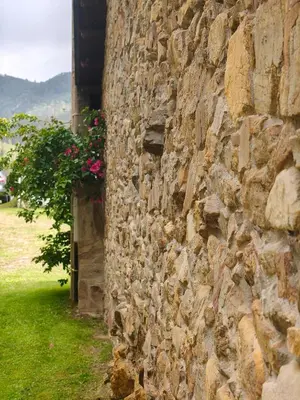 a stone wall with a potted plant on it at La casa de atrás in Arancedo