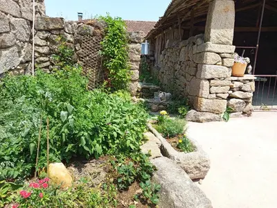 a garden with some plants and a stone building at As casiñas da mina
