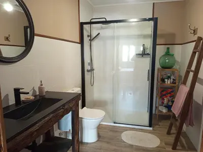 a bathroom with a shower and a sink and a toilet at As casiñas da mina