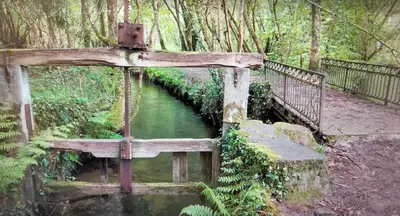 a wooden bridge over a river in a forest at playa de covas-Viveiro apartment in Viveiro