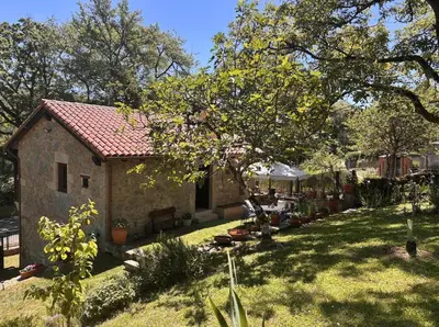 a garden with a stone house with a tree at Casa do Vigairo, en plena Ribeira Sacra