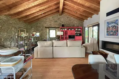 a living room with a couch and a fireplace at Casa do Vigairo, en plena Ribeira Sacra