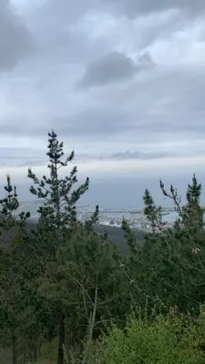 a view of the ocean from behind some trees at A Marosa playa in Burela de Cabo