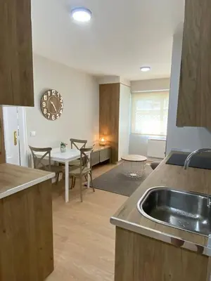 a kitchen and living room with a sink and a table at Apartamento Pardiñas in Santiago de Compostela