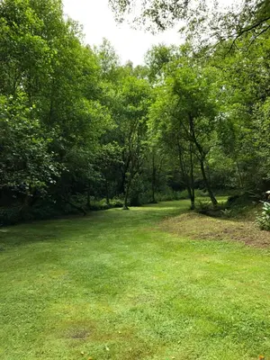 a field of grass with trees in the background at Casa rural en Playa de Frejulfe in Frejulfe