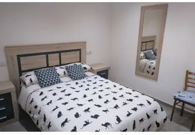 a bedroom with a large bed and a mirror at Gatonegro in Trefacio