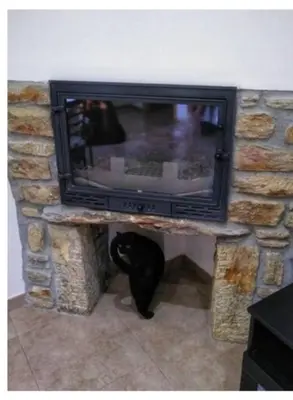 a black cat standing in a stone fireplace with a television at Gatonegro in Trefacio
