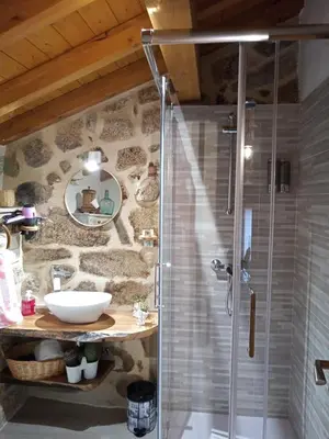 a bathroom with a shower and a sink at A Florentina in Rubiacós