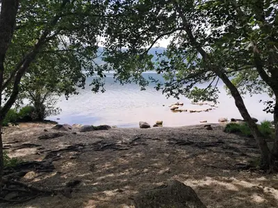 a beach with some trees and the water at Casas rurales en Sanabria in Coso