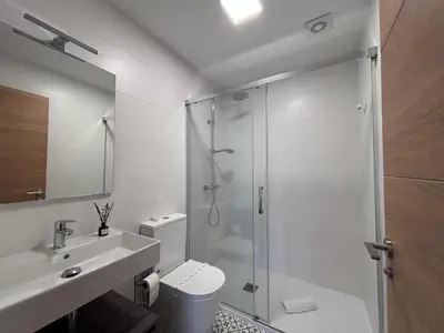 a bathroom with a shower and a toilet and a sink at Casa Rural O Lar Das Fontiñas in Moreiras