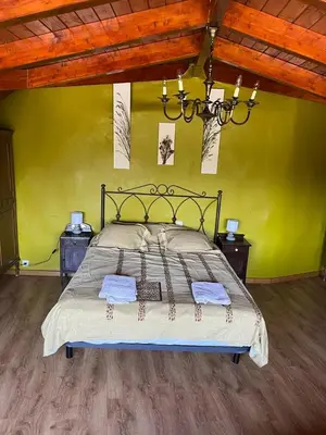 a bedroom with a bed with a green wall at Medulillas in Yeres