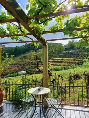 a table and chairs on a patio with a view of a field at Casiña Raíz Entre viñas y cielo Ribeira Sacra in Chantada