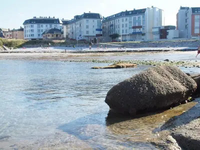 a dog laying on the beach next to a rock at Ilusiones Da Mariña in San Ciprián