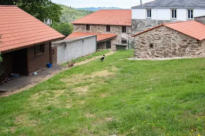a dog standing in the middle of a yard with buildings at AG Casa Brañas, en aldea rural gallega in Aranga