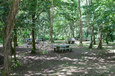 a picnic table in the middle of a park with trees at AG Casa Brañas, en aldea rural gallega in Aranga