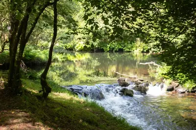 a stream of water with rocks in front of a river at AG Casa Brañas, en aldea rural gallega in Aranga