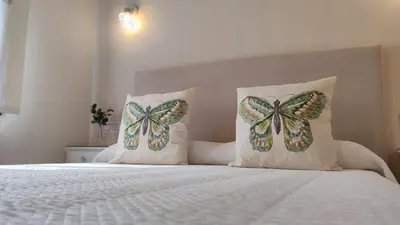 two butterfly pillows sitting on top of a bed at Vivienda de Uso Turístico Los Castaños in San Román de Sanabria