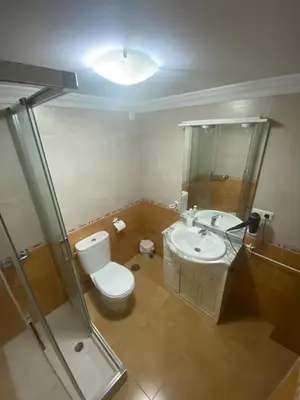 a bathroom with a toilet and a sink and a shower at Terra 1B in Caldas de Reis