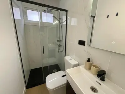 a bathroom with a shower and a toilet and a sink at Cozy and centrally located apartment in Santiago de Compostela
