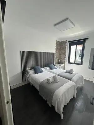 a bedroom with a large bed and a television at Campus stellae in Arzúa
