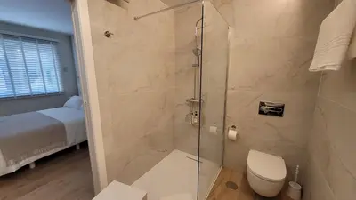 a bathroom with a glass shower with a toilet at Egeria Casa Jardín in Caldas de Reis