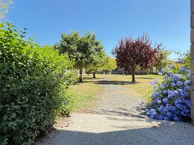 a garden with blue flowers and trees and a path at Casa Carlés by URent in Puentecesures