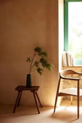 a plant in a vase on a table next to a chair at Casa Albaredo, Aldea Rural, Boutique Hotel, Retreat, in O Cebreiro