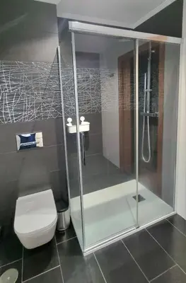 a bathroom with a shower and a toilet in it at A Casa de Chefa in San Ciprián