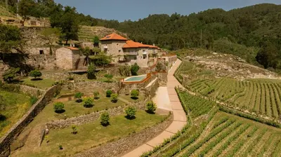 an estate on a hill with a pathway and a vineyard at Granxa D Outeiro in Ribadavia