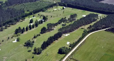 an overhead view of a green field with trees and animals at Hotel Puente de los Santos in Tapia de Casariego