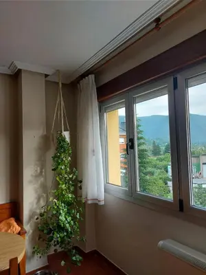 a room with a window with a plant on the wall at Alojamiento Sena VUT LE-1254 in Villablino