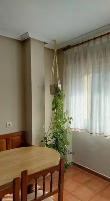 a dining room with a table and a plant next to a window at Alojamiento Sena VUT LE-1254 in Villablino
