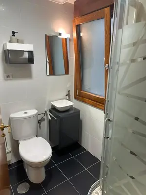 a bathroom with a toilet and a sink at #Las Azaleas# in Teijois