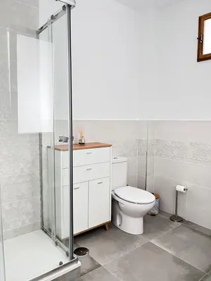 a bathroom with a toilet and a glass shower at Eneas I , II in A Pontenova