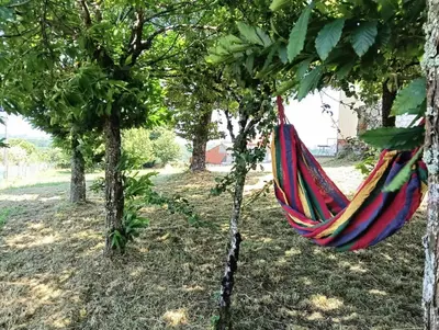 a hammock hanging between two trees in a field at Casa Quinzan Ribeira Sacra in Taboada