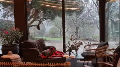a room with chairs and a large window with birds outside at Galician Stone House Santiago in Ramallosa