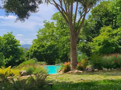 a garden with a tree and a swimming pool at Galician Stone House Santiago in Ramallosa