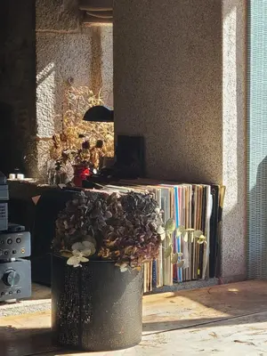 a container filled with plants and records next to a wall at Galician Stone House Santiago in Ramallosa