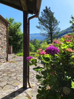 a plant with purple flowers on a patio at 39A01 La Casita Olga Casa en plena naturaleza by R2R Consulting in Arrojo