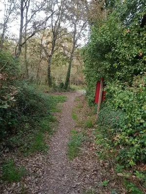 a dirt path in the woods with a red sign at Buleiro in Ourense