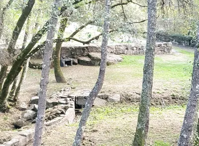 a group of trees in a field with a stone structure at Buleiro in Ourense