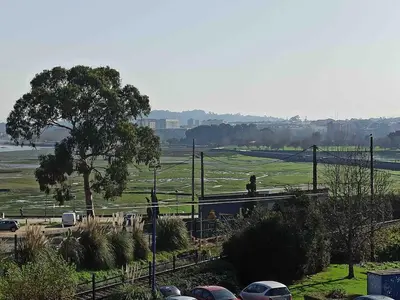 a train on a track with a tree and cars at Fonteculler centro in Culleredo