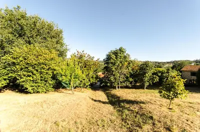 a field with trees and a house in the background at Casa Vaz in A Estrada