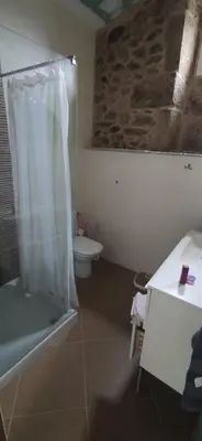 a bathroom with a shower and a toilet in it at Casa Vaz in A Estrada