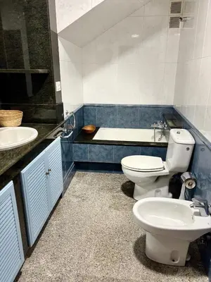a bathroom with a toilet and a sink and a tub at Aloe Cela in Outeiro de Rei